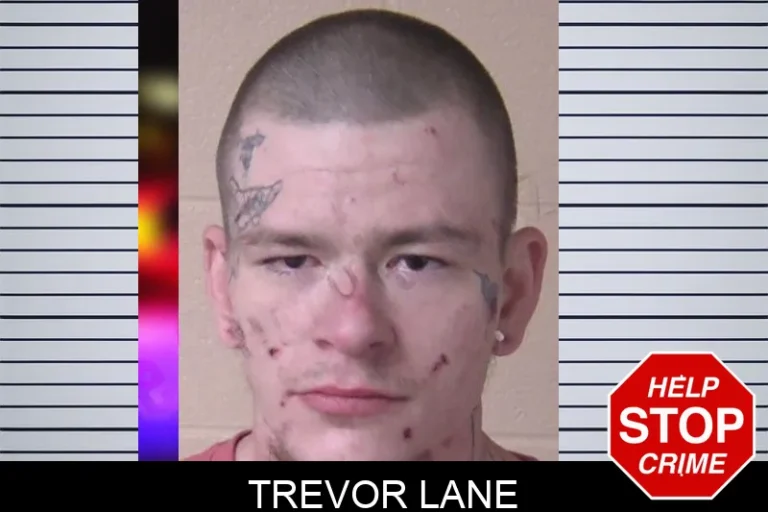 Trevor Lane
