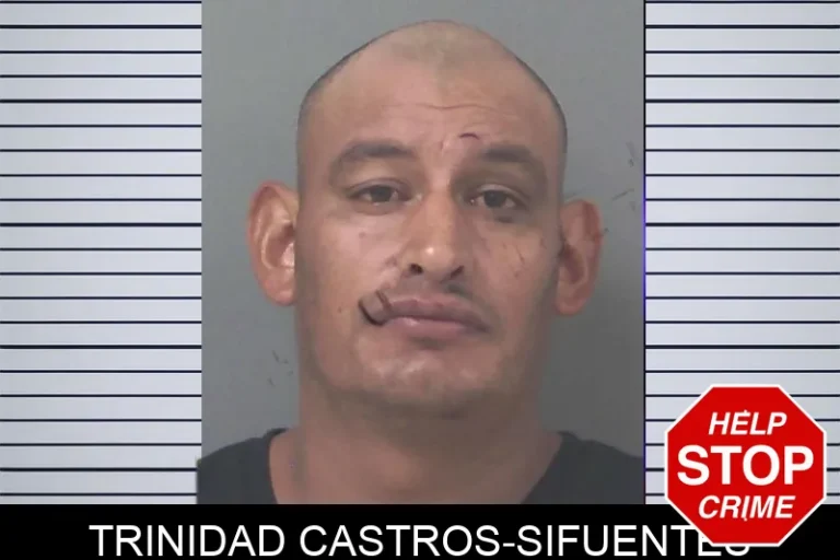 Trinidad Castros-Sifuentes