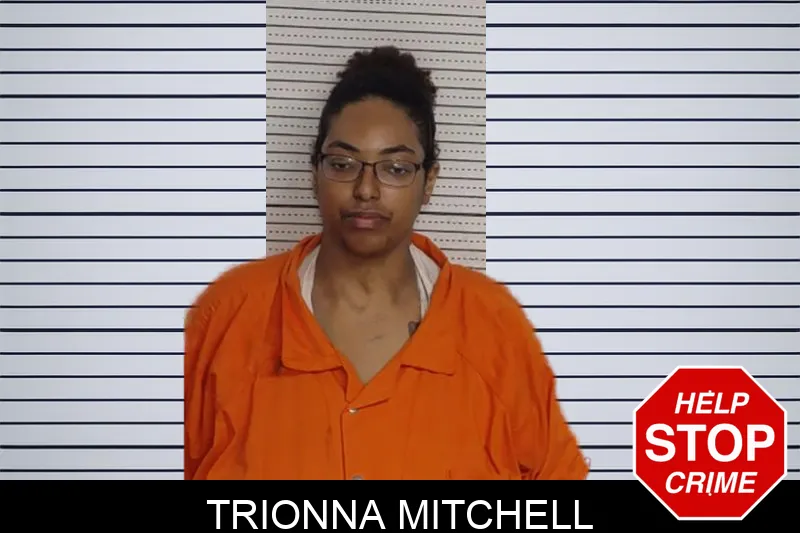 Trionna Mitchell Mugshots
