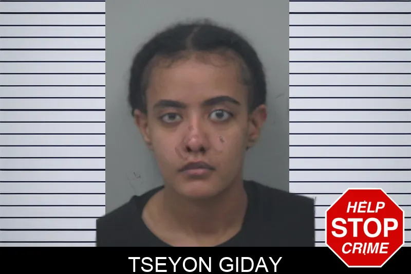 Tseyon Giday mugshot – Gwinnett County , Georgia Tseyon Giday mugshot