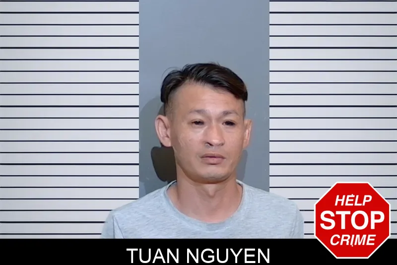 Tuan Nguyen