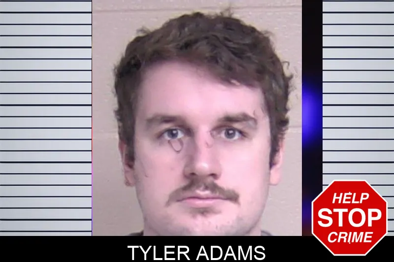 Tyler Adams Mugshots