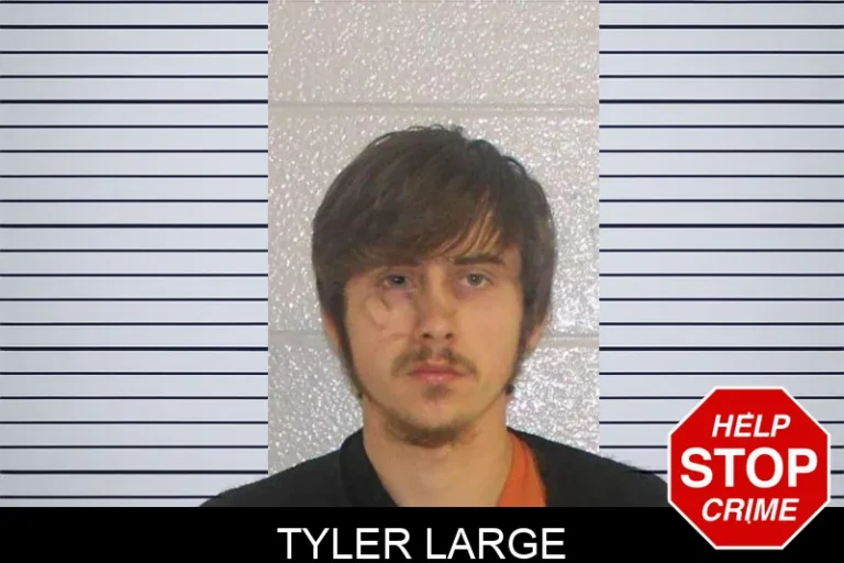 Tyler Large mugshot – Carroll County , Georgia Tyler Large