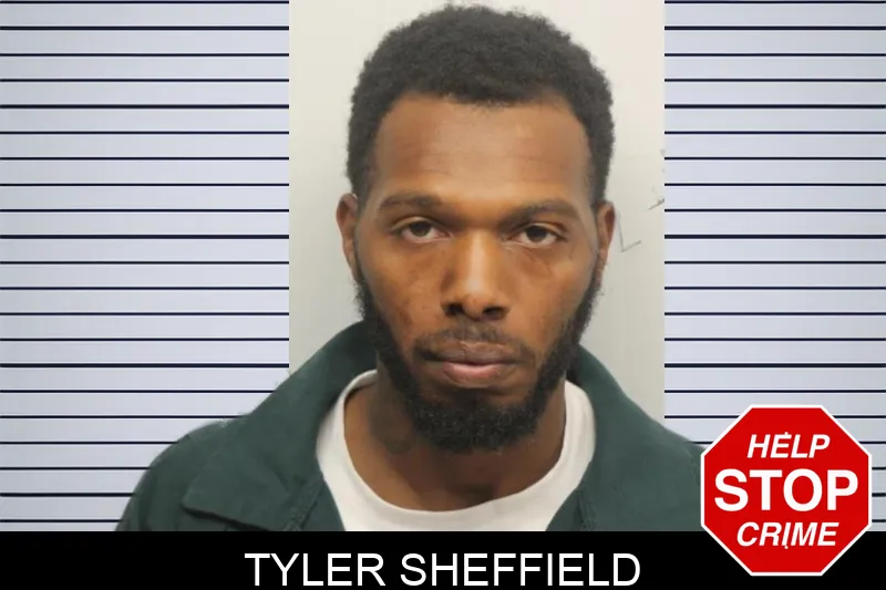 Tyler Sheffield mugshot – Chatham County , Georgia Tyler Sheffield mugshot