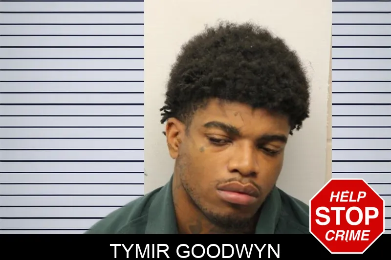 Tymir Goodwyn mugshot