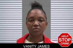 Vanity James mugshot