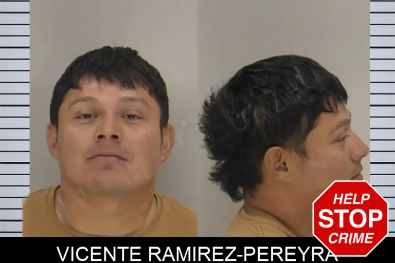 Vicente Ramirez-Pereyra