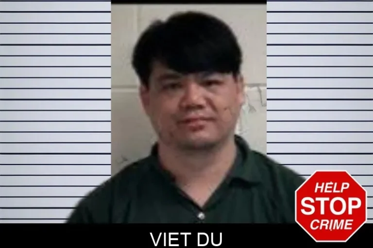 Viet Du