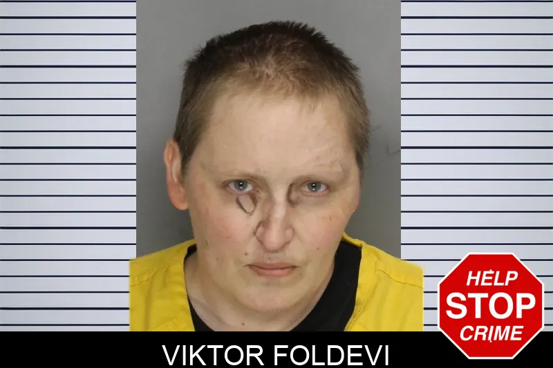 Viktor Foldevi mugshot