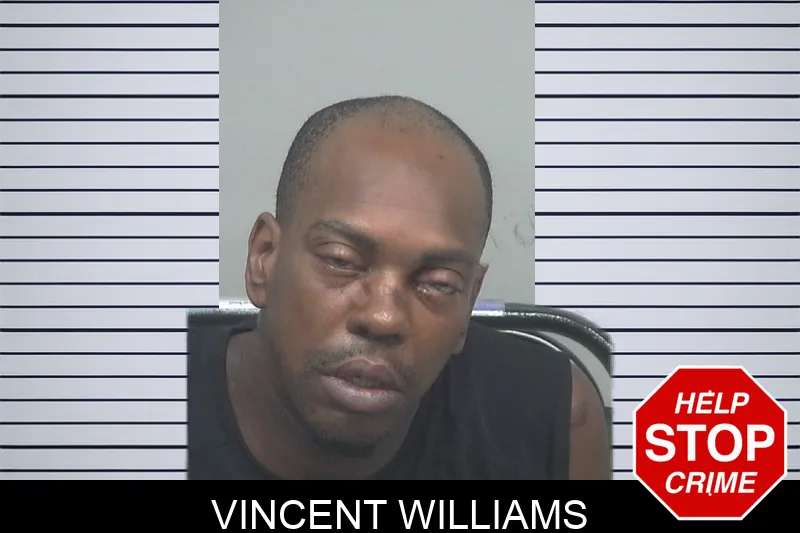Vincent Williams mugshot