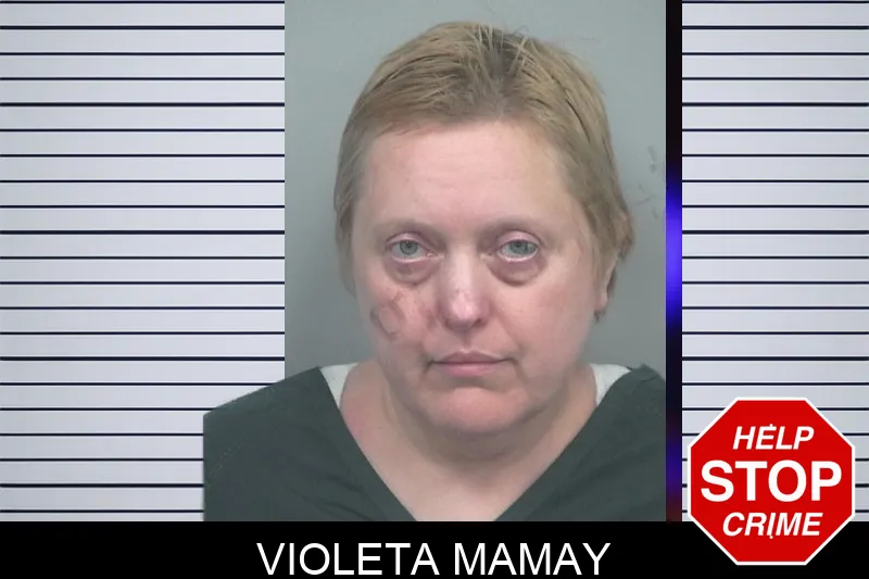 Violeta Mamay mugshot