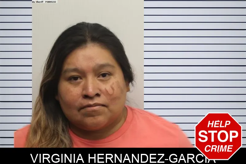 Virginia Hernandez-Garcia mugshot – Chatham County , Georgia Virginia Hernandez-Garcia mugshot