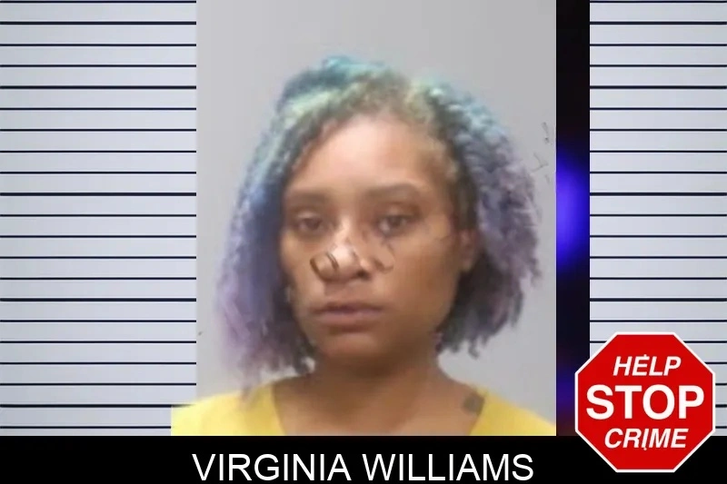 Virginia Williams mugshot