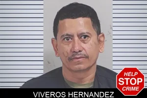 Viveros Hernandez mugshot