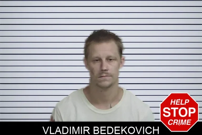 Vladimir Bedekovich mugshot – Wayne County , Georgia Vladimir Bedekovich