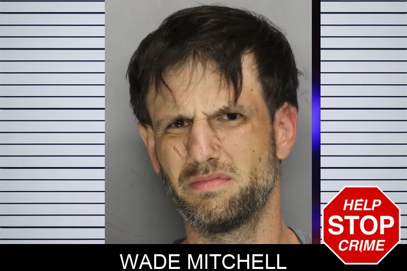 Wade Mitchell mugshot
