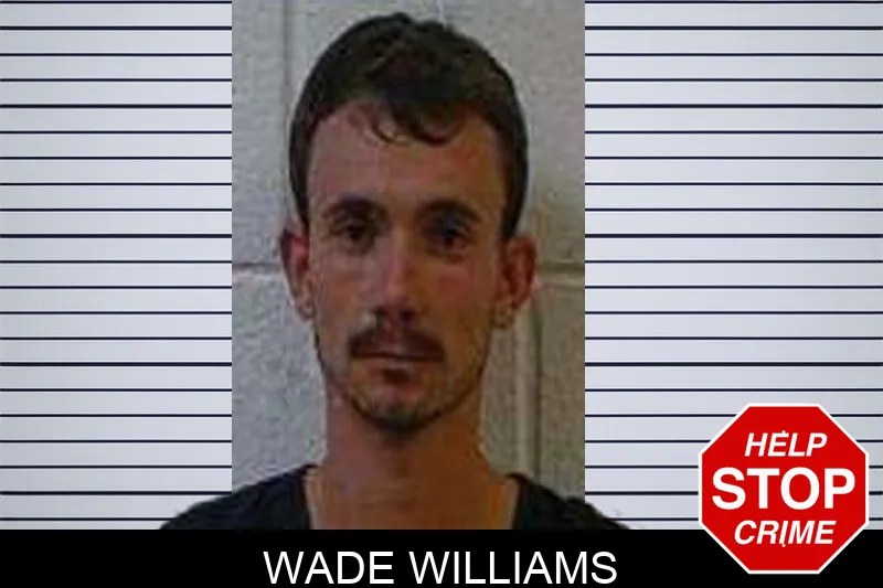 Wade Williams