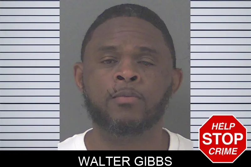 Walter Gibbs Mugshots
