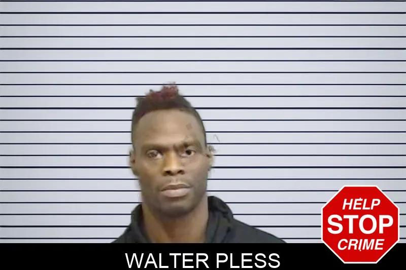 Walter Pless