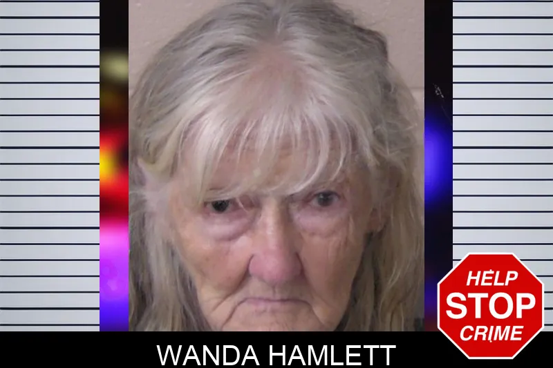 Wanda Hamlett mugshot