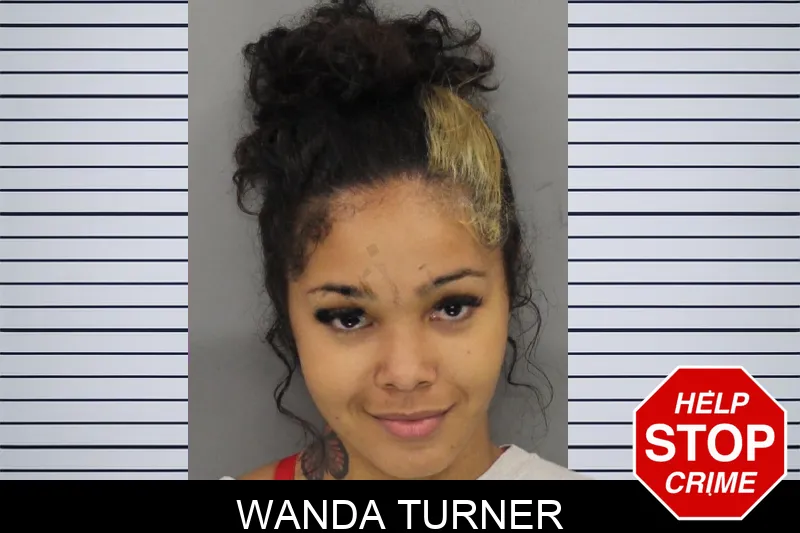 Wanda Turner mugshot