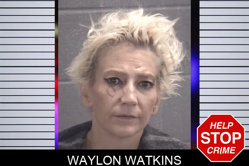 Waylon Watkins mugshot