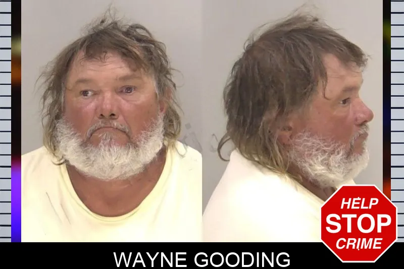 Wayne Gooding mugshot