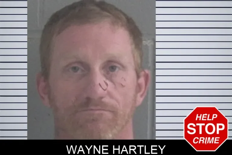 Wayne Hartley