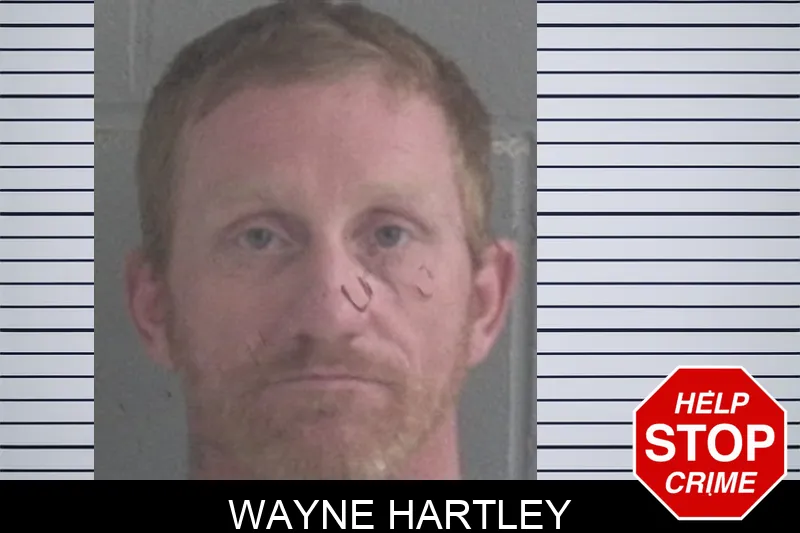 Wayne Hartley