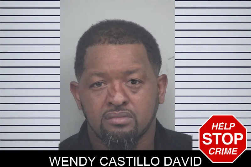 Wendy Castillo David Mugshots