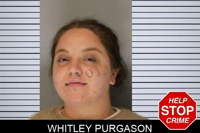 Whitley Purgason mugshot – Hall County , Georgia Whitley Purgason