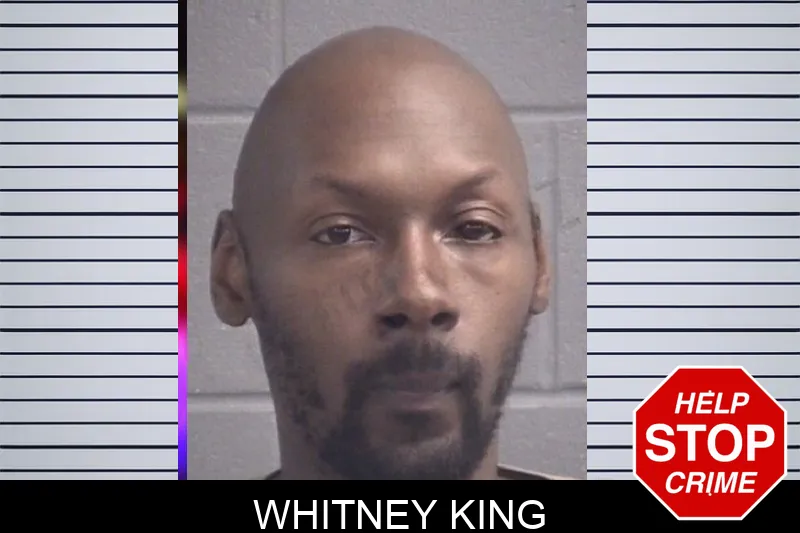 Whitney King mugshot