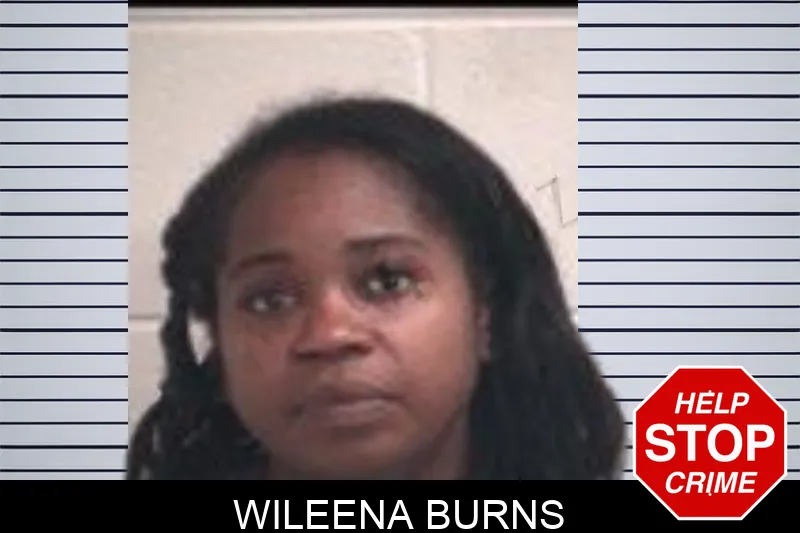Wileena Burns Mugshots