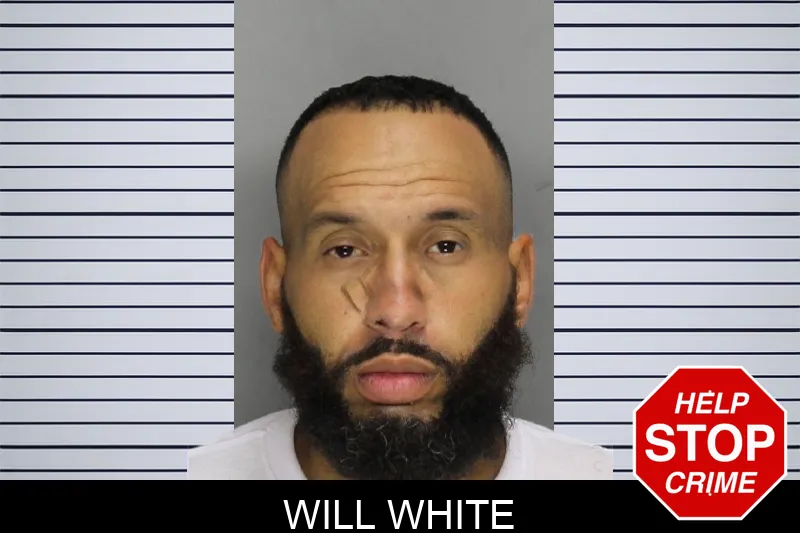 Will White Mugshots