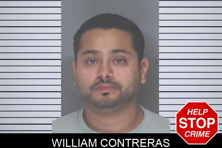William Contreras