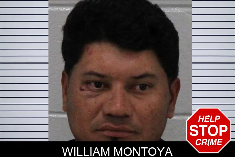 William Montoya Mugshots