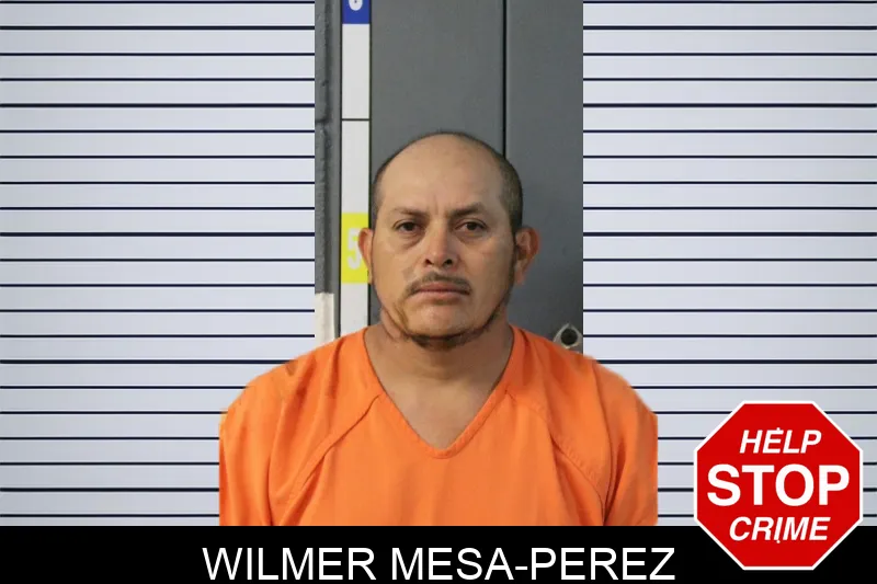Wilmer Mesa-Perez
