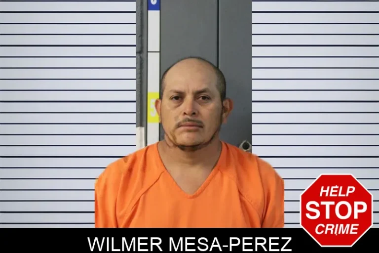 Wilmer Mesa-Perez