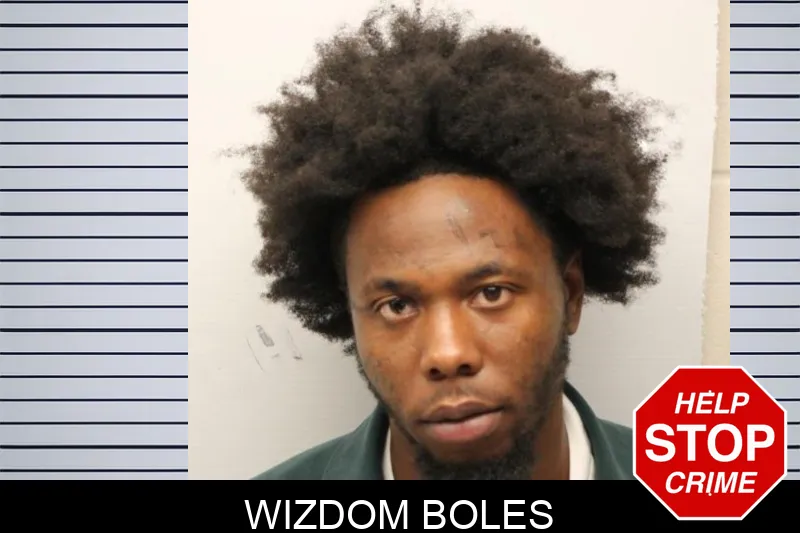 Wizdom Boles Mugshots