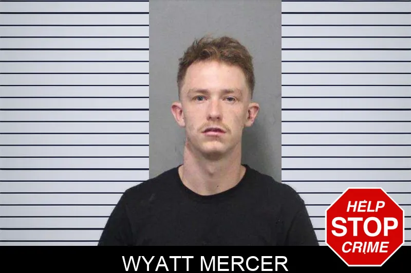 Wyatt Mercer