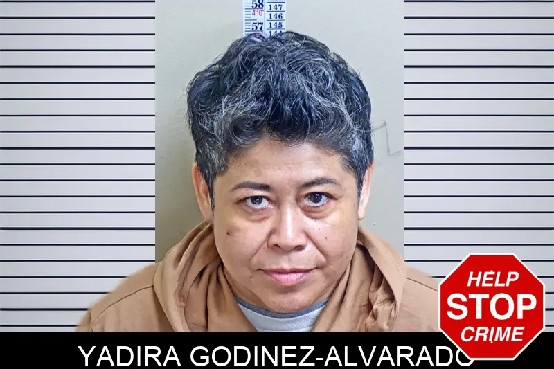 Yadira Godinez-Alvarado mugshot – Gwinnett County , Georgia Yadira Godinez-Alvarado mugshot