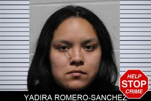 Yadira Romero-Sanchez mugshot