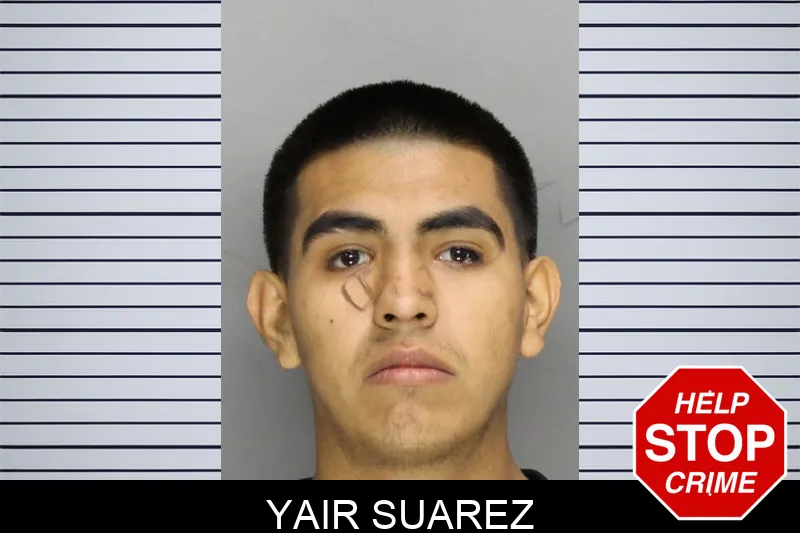 Yair Suarez Mugshots