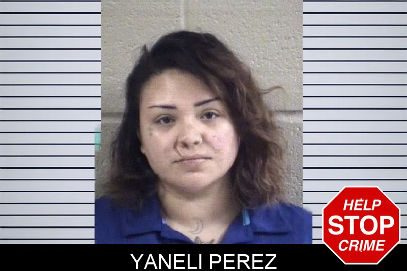 Yaneli Perez Mugshots