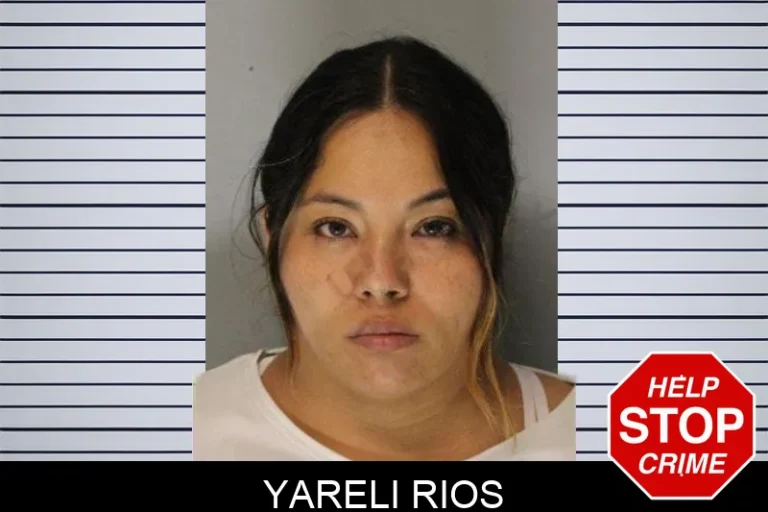Yareli Rios mugshot – Hall County , Georgia Yareli Rios