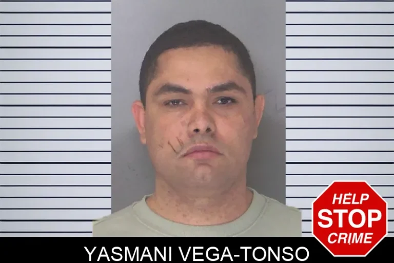Yasmani Vega-Tonso