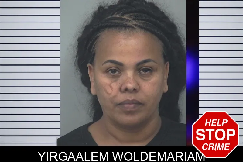 Yirgaalem Woldemariam mugshot – Gwinnett County , Georgia Yirgaalem Woldemariam mugshot
