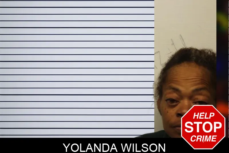 Yolanda Wilson mugshot – Chatham County , Georgia Yolanda Wilson mugshot