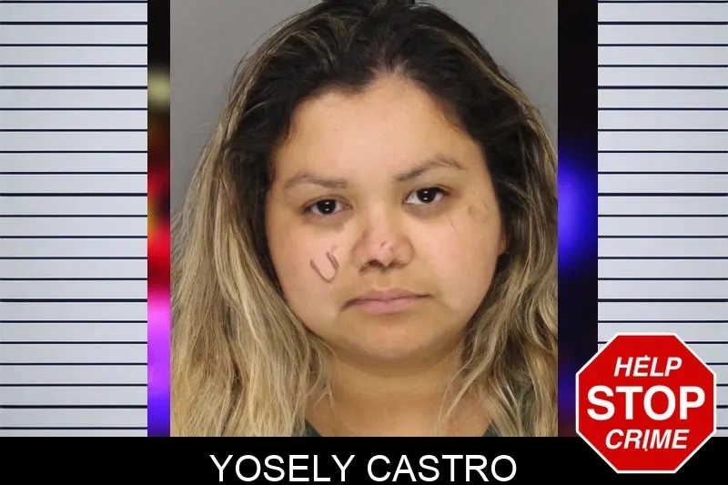 Yosely Castro mugshot