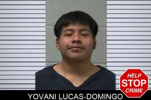 Yovani Lucas-Domingo mugshot
